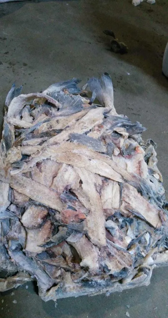 фотография продукта Рыбные отходы от 20 тонн в сутки 