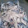 рыбные отходы от 20 тонн в сутки  в Омске